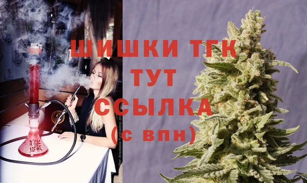 эйфоретик Арсеньев